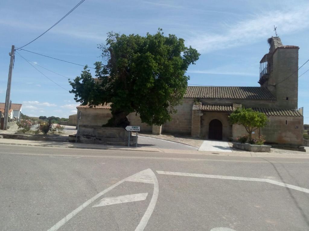 Carbellino Pension El Abuelo מראה חיצוני תמונה