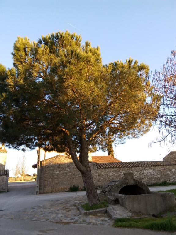Carbellino Pension El Abuelo מראה חיצוני תמונה